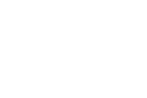 Logo_Laumer_footer